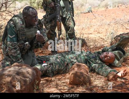 Uganda-Soldaten der Volksverteidigungstruppe führen während der Übungen zur Kampfbewegung am 10. März 2022 in Isiolo (Kenia) eine Ausbildung zur Opferhilfe durch. Justified Accord findet vom 28. Februar bis 17. März in Kenia statt. Über 800 Mitarbeiter werden an der Übung teilnehmen, die sich auf die Ermöglichung der Bereitschaft für die USA und multinationale Partner konzentriert. Stockfoto