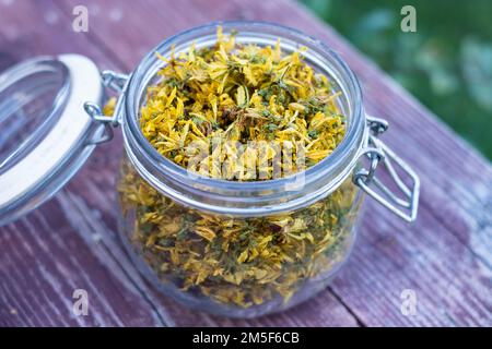 Glasgefäß mit trockenen Johanniskraut- oder Hypericum perforatum-Blütenblättern auf altem Holzhintergrund. Stockfoto