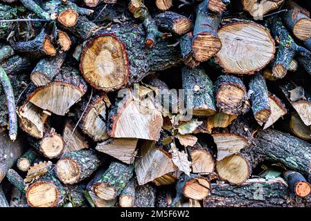 Ein Haufen Brennholz für den Winter. Stapel geschnittener Holzstämme und Äste Stockfoto