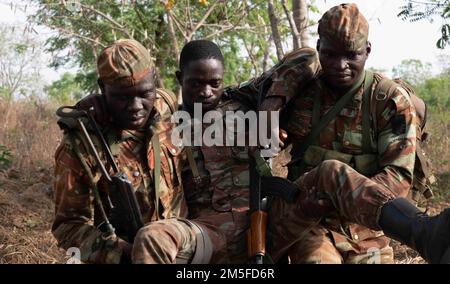 Soldaten des 1. Kommando-Parachutentataillons von Benin tragen einen verletzten Teamkollegen während des simulierten Hinterhalt-Trainings in Ouassa, Benin, am 11. März 2022 zu einem Abholpunkt. Unser Engagement ist ein kleiner Beitrag, um unseren Partnern dabei zu helfen, ihre Bevölkerung zu schützen und die globale Bedrohung durch gewalttätigen Extremismus zu bekämpfen. Stockfoto