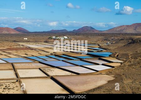 Salinas de Janubio - Salzbergbau aus Meerwasser auf Lanzarote Island, Kanarische Inseln, Spanien Stockfoto