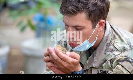 1. LT. Angus Paradice, Alpha Company vom 29. Brigadeingenieurbataillon, 3. Brigadekampfteam, 25. Infanteriedivision, bläst Zunder aus Bambus, um während eines Überlebenskurses im Dschungel ein Feuer zu entfachen, 13. März 2022, Fort Thanarat, Thailand. Das Überleben im Dschungel ist ein Bereich, in dem US-Soldaten in Hawaii stationiert waren, und die Royal Thai Army Forces zusammenkamen, um sich gegenseitig über ihre Praktiken zu informieren, um sich besser auf zukünftige Einsätze vorzubereiten. Stockfoto