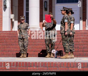 Brigg. General Julie L. Nethercot, Depot Commanding General, und Sergeant Major Edwin A. Mota, Depot Sergeant Major, stellen das neue Maskottchen vor und geben ihre Befehle für Marine Corps Recruit Depot Parris Island, S.C., vom 14. März 2022. Opha Mae wird eine Rekrutierungsausbildung absolvieren, bevor sie das neue Depot-Maskottchen wird. Stockfoto