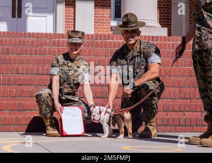 Brigg. General Julie L. Nethercot, Depot Commanding General, und Sergeant Major Edwin A. Mota, Depot Sergeant Major, stellen das neue Maskottchen vor und geben ihre Befehle für Marine Corps Recruit Depot Parris Island, S.C., vom 14. März 2022. Opha Mae wird eine Rekrutierungsausbildung absolvieren, bevor sie das neue Depot-Maskottchen wird. Stockfoto