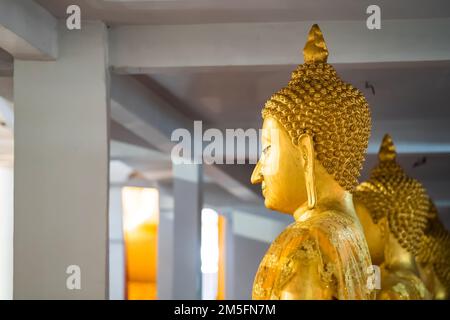 Viele goldene Buddha-Statuen sitzen meditiert in der Reihe im Thailand-Tempel. Stockfoto