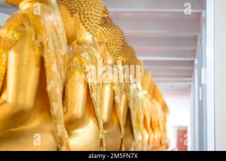 Viele goldene Buddha-Statuen sitzen meditiert in der Reihe im Thailand-Tempel. Stockfoto