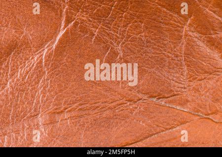 Die Konsistenz von Kalbsfellen höchster Verbandsqualität. Stockfoto