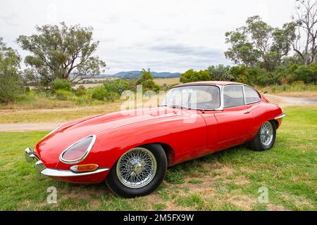 1962 Jaguar E Typ FHC Serie I Stockfoto