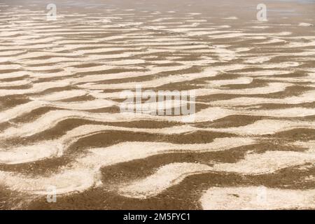 DÜRRE, DAS IST EINE SEHR VERBREITETE LANDSCHAFT IN BANGLADESCH, UND WENN DIESE ZEIT KOMMT, STEHT DIE BEVÖLKERUNG IN BANGLADESCH VOR EINEM SEHR ENTSCHEIDENDEN MOMENT. Stockfoto