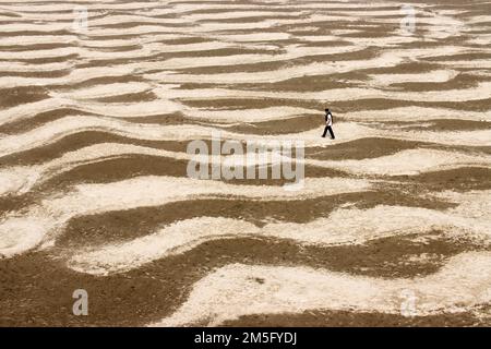 DÜRRE, DAS IST EINE SEHR VERBREITETE LANDSCHAFT IN BANGLADESCH, UND WENN DIESE ZEIT KOMMT, STEHT DIE BEVÖLKERUNG IN BANGLADESCH VOR EINEM SEHR ENTSCHEIDENDEN MOMENT. Stockfoto