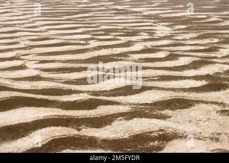 DÜRRE, DAS IST EINE SEHR VERBREITETE LANDSCHAFT IN BANGLADESCH, UND WENN DIESE ZEIT KOMMT, STEHT DIE BEVÖLKERUNG IN BANGLADESCH VOR EINEM SEHR ENTSCHEIDENDEN MOMENT. Stockfoto