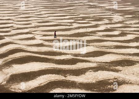 DÜRRE, DAS IST EINE SEHR VERBREITETE LANDSCHAFT IN BANGLADESCH, UND WENN DIESE ZEIT KOMMT, STEHT DIE BEVÖLKERUNG IN BANGLADESCH VOR EINEM SEHR ENTSCHEIDENDEN MOMENT. Stockfoto