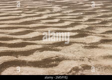 DÜRRE, DAS IST EINE SEHR VERBREITETE LANDSCHAFT IN BANGLADESCH, UND WENN DIESE ZEIT KOMMT, STEHT DIE BEVÖLKERUNG IN BANGLADESCH VOR EINEM SEHR ENTSCHEIDENDEN MOMENT. Stockfoto