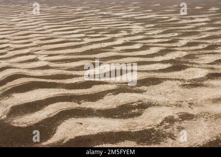 DÜRRE, DAS IST EINE SEHR VERBREITETE LANDSCHAFT IN BANGLADESCH, UND WENN DIESE ZEIT KOMMT, STEHT DIE BEVÖLKERUNG IN BANGLADESCH VOR EINEM SEHR ENTSCHEIDENDEN MOMENT. Stockfoto