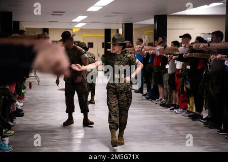 Ein Übungslehrer, der am 16. März 2022 mit den Pädagogen auf Parris Island in South Carolina eine Linienzählung simuliert. Der Educators Workshop bringt verschiedene Lehrer, Gemeindeführer und Influencer aus dem ganzen Land mit, um den Prozess der Herstellung eines Marine zu demonstrieren. (United States Marine Corps Foto von CPL. Cheng Chang) Stockfoto