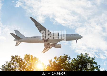 Großes Flugzeug fliegende Lamellenausrüstung über den Bäumen bei Sonnenuntergang, Seitenansicht Stockfoto