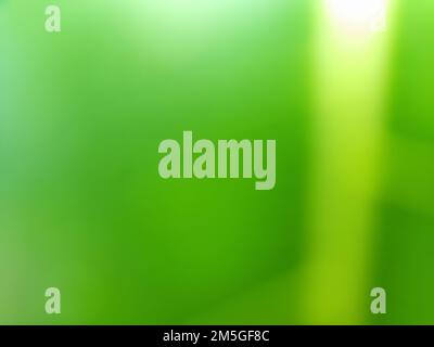 Unschärfe des abstrakten Hintergrunds grüner Blätter und gelber Venen im Garten. Abbildungsfoto. Stockfoto