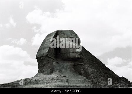 Die Sphinx an den Pyramiden des Gizeh-Komplexes im Großraum Kairo, Ägypten. Stockfoto