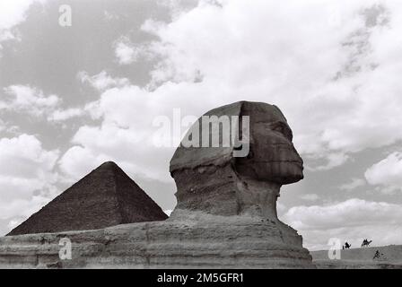 Die Sphinx an den Pyramiden des Gizeh-Komplexes im Großraum Kairo, Ägypten. Stockfoto