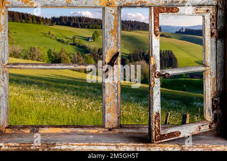 Blick aus einem Holzfenster auf eine Schwarzwaldlandschaft Stockfoto