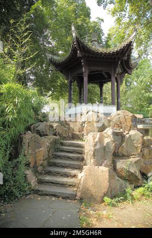 Tempel mit Treppen im Chinesischen Garten, Garten des himmlischen Friedens, Pavillon, Chinesisch, Gartenkunst, Bethmannpark, Nordend, Main, Frankfurt, Hessen Stockfoto