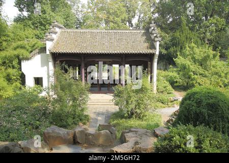 Tempel im Chinesischen Garten, Garten des himmlischen Friedens, Pavillon, Chinesisch, Gartenkunst, Bethmannpark, Nordend, Main, Frankfurt, Hessen, Deutschland Stockfoto