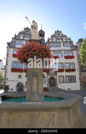 Lullus-Brunnen und historisches Rathaus in Bad Hersfeld, Hessen Stockfoto