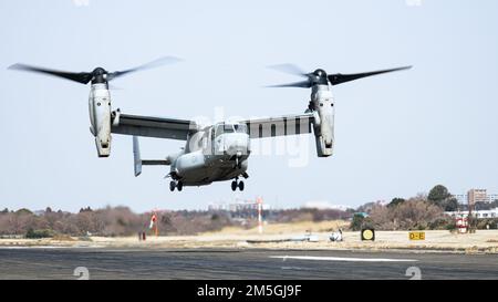 EIN US-AMERIKANISCHER Marine Corps MV-22B Osprey mit Marine Medium Tiltrotor Squadron 265 (verstärkt), 31. Marine Expeditionary Unit, landet nach einem bilateralen Formationsflug über dem Berg Fuji auf Naval Air Facility Atsugi, Präfektur Kanagawa, Japan, 17. März 2022. Bilaterale Flüge sorgen für Vertrautheit und Interoperabilität zwischen US-amerikanischen und japanischen Flugeinheiten. Die maritime Defense Exercise Amphibious Ready Deployment Brigade ist eine bilaterale Übung zur Verbesserung der Interoperabilität und Stärkung der Beziehungen zwischen US-amerikanischen und japanischen Streitkräften zur Verteidigung Japans. Stockfoto