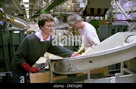 Hagen. Hauptpostamt. Frauen verteilen Briefe 1988 Stockfoto