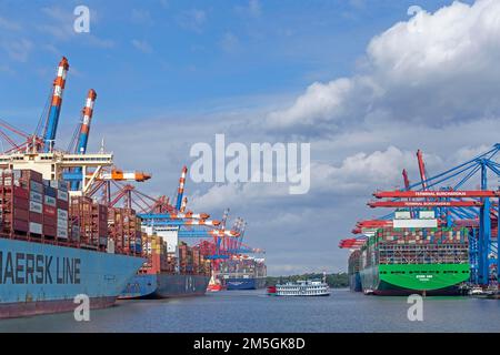 Containerschiffe und Ausflugsboote, Paddeldampfer Louisiana Star, Containerterminals Eurogate und Burchardkai, Waltershof, Hamburg, Deutschland Stockfoto