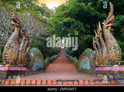 Die wichtigsten Touristentempel der Stadt Chiang Mai. Faszinierende Dragon-Treppen nach Wat Phra That Doi Suthep. Chiang Mai Stadt, Thailand. Stockfoto