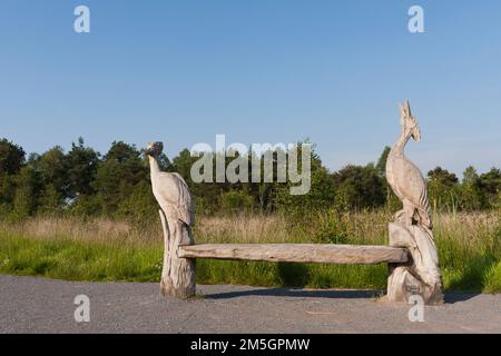 Bankje met in Nationaal Park De Groote Peel houtsculpturen; Bank mit Skulpturen aus Holz im Nationalpark De Groote Peel Stockfoto