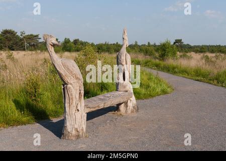 Bankje met in Nationaal Park De Groote Peel houtsculpturen; Bank mit Skulpturen aus Holz im Nationalpark De Groote Peel Stockfoto