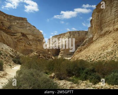 Wadi Ein Avdat, Israel Stockfoto