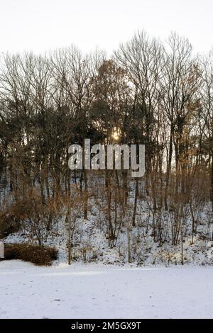 Wunderschöner Sonnenuntergang im weißen Wald im Winter Stockfoto
