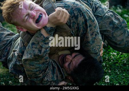 USA Marines mit 2. Bataillon, 7. Marineregiment, 1. Marine Division, greifen während des Gipfels eines Martial Arts Instructor Kurses im Camp Schwab, Okinawa, Japan, 17. März 2022 an. Die Marines erlebten den dreiwöchigen Marinekorps-Kurs für Kampfkunstausbilder, der Nahkampf, Kampfethos-Unterricht, Greiftraining und Training für Waffenschmuggler umfasste, mit dem Ziel, einen Abschluss als Martial Arts Instructor des Marinekorps zu machen. Der MAI-Kurs bescheinigt Marines, andere Marines in verschiedenen Gürtelebenen des Martial Arts Program des Marine Corps auszubilden und zu testen. Stockfoto