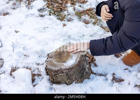 Die Frau berührt einen Baumstumpf auf einem schneebedeckten Berg im Winter Stockfoto