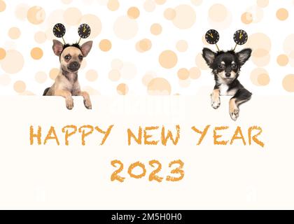 Zwei chihuahua-Hunde mit frohem Neujahr 2023, die beide Neujahrsdekoration tragen Stockfoto