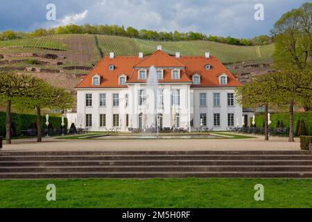 Schloss Wackerbarth und Weinberge in der Nähe von Dresden Stockfoto