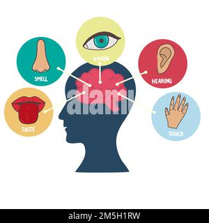 Fünf Liniensymbole für die menschlichen Sinne. Sehen, riechen, hören, berühren, schmecken. Menschliche Sinnesorgane. Augen, Nase, Ohr Hand Mund Symbolsatz, Stock Vektor