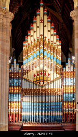 Sydney. New South Wales. Australien. Die Orgelpfeife in St. Andrews Kathedrale Stockfoto