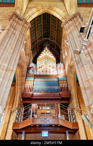 Sydney. New South Wales. Australien. Die Orgelpfeife in St. Andrews Kathedrale Stockfoto