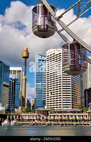 Sydney. New South Wales. Australien. Darling Harbour. Das Riesenrad Stockfoto