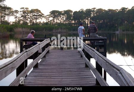 Alabamas Küstenverbindung - Beobachten Sie die Tierwelt im Audubon Bird Sanctuary auf Dauphin Island. Mehrere Männer beobachten einen Alligator von den sicheren Höhen einer Aussichtsplattform an einem Eingang des Alligatorsees im Audubon Bird Sanctuary auf Dauphin Island (der Alligator ist die schwarze Linie im Wasser rechts neben der Plattform). Ort: Dauphin Island, Alabama (30,248° N 88,087° W) Stockfoto