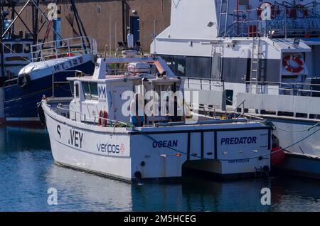 PETERHEAD, SCHOTTLAND, Großbritannien - 19. August 2022 - Besatzung an Bord des OCEAN PREDATOR Marine Surveyboots von McLachlan Marine im Hafen von Peterhead, Aberd Stockfoto