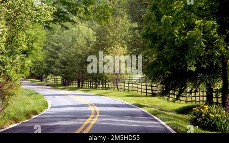 Fahrt durch den Hallowed Ground Byway - Virginia Route 231 in Albemarle County. Die zweispurige, ländliche Route 231 führt durch Orange County und Albemarle County und bietet eine malerische Aussicht, die sich zwischen dem schattigen, grünen Baumkronen und den sonnenbeleuchteten Weiden und Feldern abwechselt. Virginia (38,069° N 78,414° W) Stockfoto