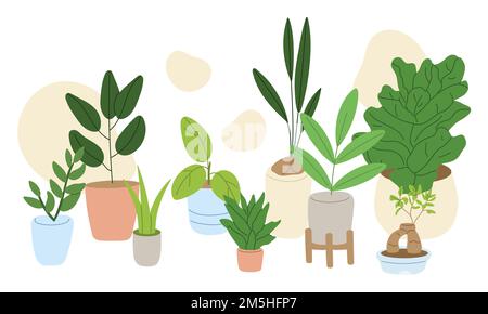 Pflanzenset im Topfhaus. Einrichtung mit verschiedenen Blättern. Pflanzen für Haus- und Bürodekoration. Abbildung eines flachen Vektors Stock Vektor