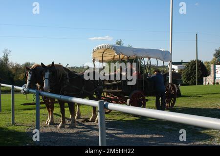 Amish Country Byway - Pferdekutsche im Amish and Mennonite Heritage Center. Im Amish and Mennonite Heritage Center in Holmes County, Ohio, könnt ihr euch in einem Pferdewagen über die Traditionen der lokalen Kulturen unterhalten. Lage: Nahe Berlin, Ohio (40,554° N 81,785° W) Stockfoto