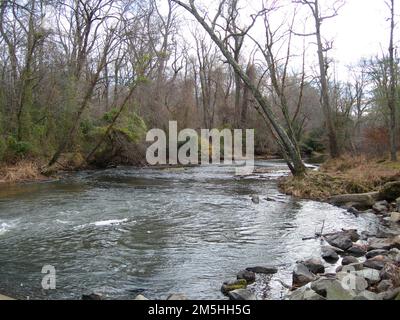 Harriet Tubman Underground Railroad Byway - Poolwasser am Greensboro Crossing. Ein felsiges, von Bäumen gesäumtes Ufer hält im Wasser des Choptanks an einer Kreuzung, die als Rote Brücken bekannt ist. Rote Brücken, Greensboro, Maryland Stockfoto
