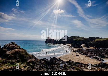 Blick auf die Nachmittagssonne über dem Strand und die silhouettierten Klippen am Kynance Cove auf der Lizard-Halbinsel an der Südküste von Cornwall, Südwestengland Stockfoto